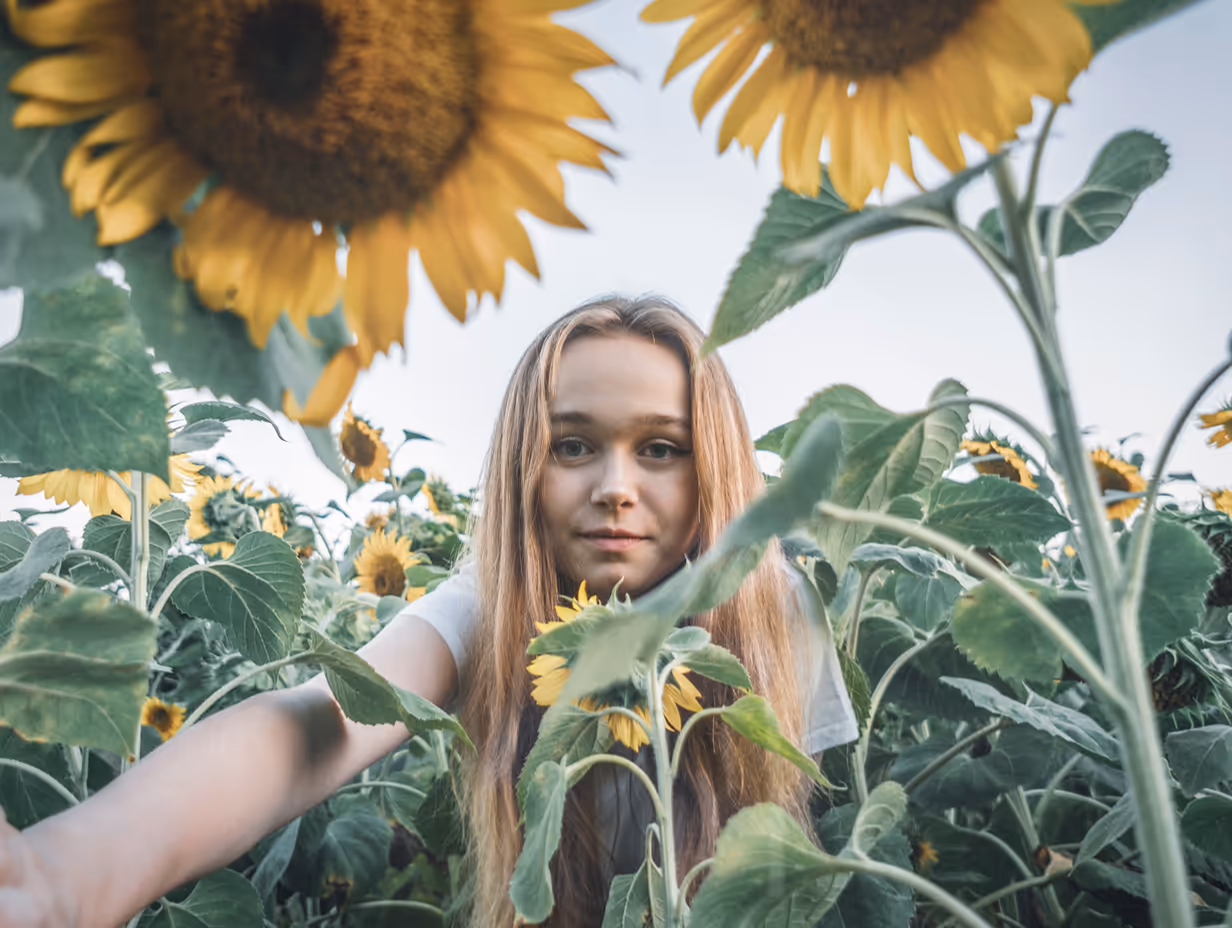 Junge Frau in einem Sonnenblumenfeld, im Gegenlicht aufgenommen – ein typisches Stockfoto-Motiv