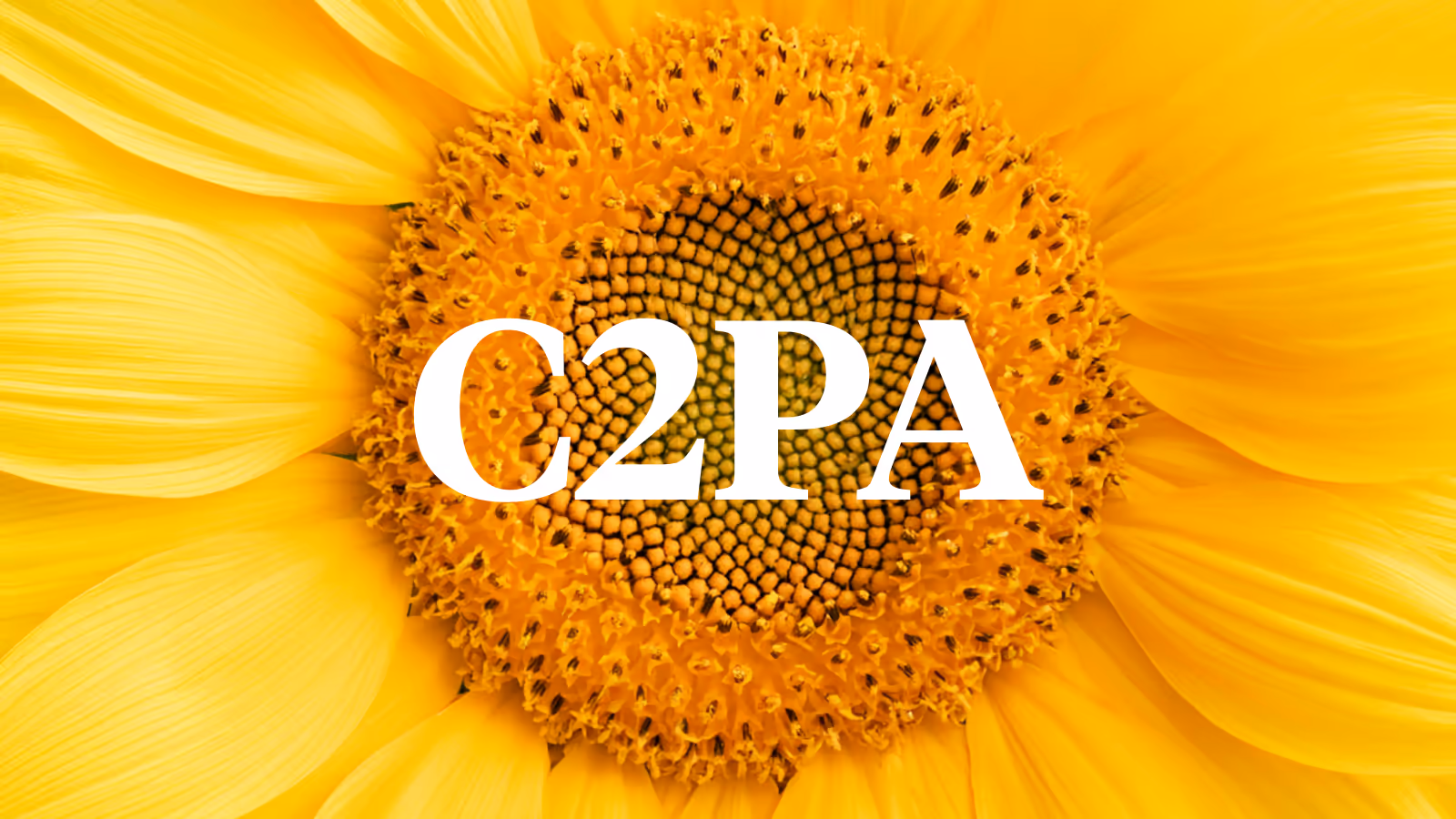 Makroaufnahme einer Sonnenblume mit dem weißen Schriftzug C2PA über dem Blütenboden