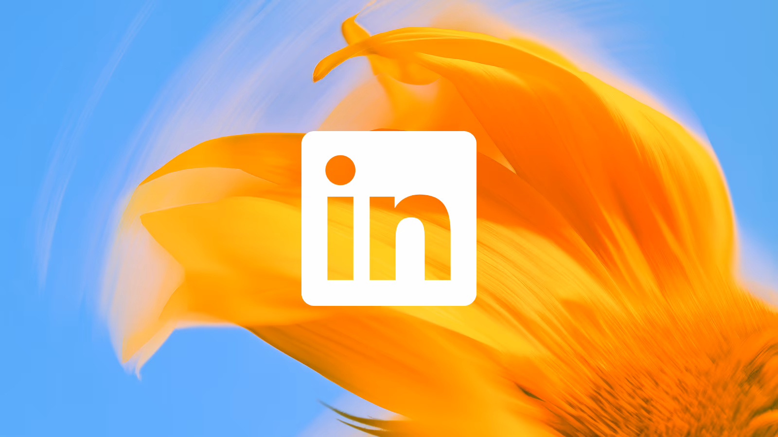 Sonnenblumen-Makro mit dem LinkedIn-Zeichen – Aufmacher des Kapitels