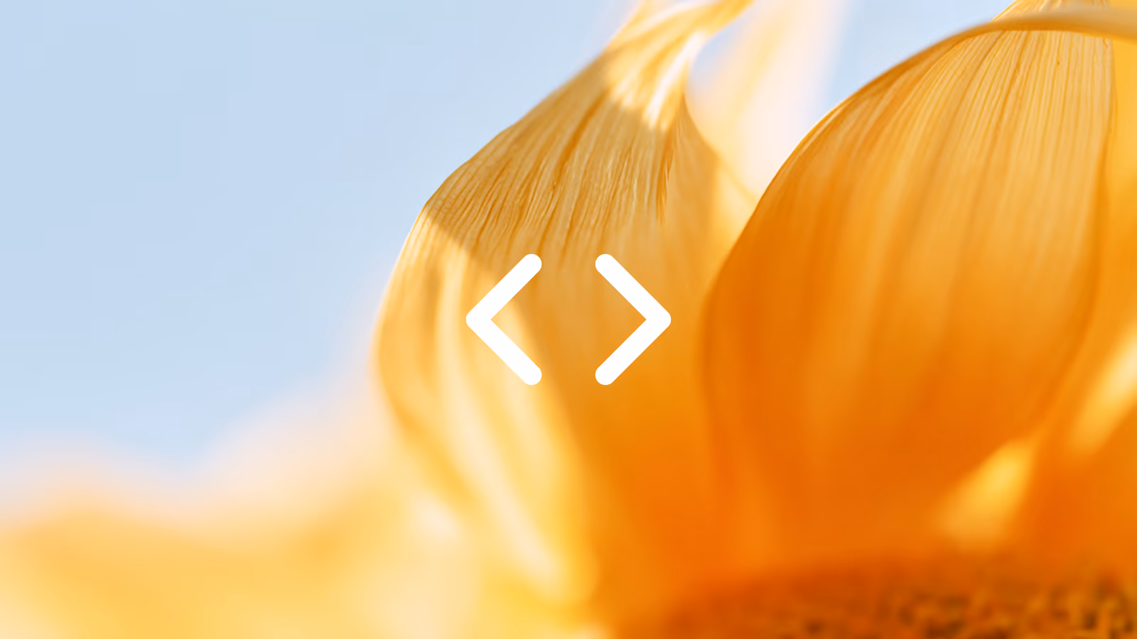 KI-generiertes Bild auf einer statischen Website mit sichtbarer Kennzeichnung nach EU AI Act